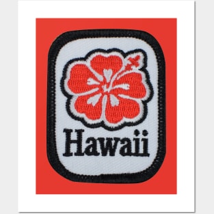 Hawaii Hibiscus Patch Posters and Art